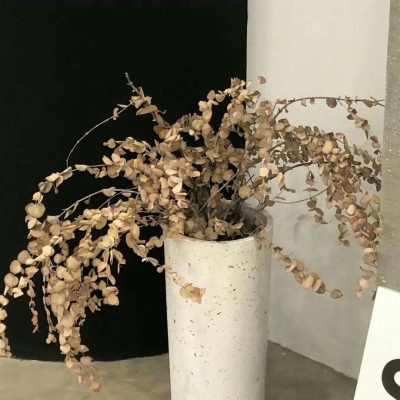 梨树FurryQQ群介绍